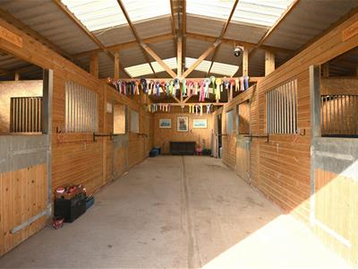 Picture 29